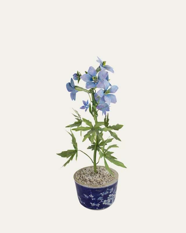 Delphinium July Birth Flower in Ceramic Pot
